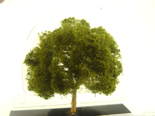 Platanen baum cm - ,