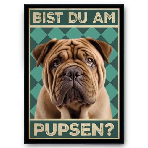 Shar pei bist - shar, du