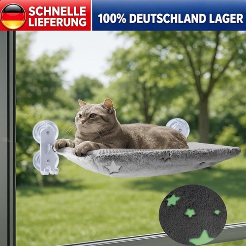 Katzen fensterliege fenster - katzen,
