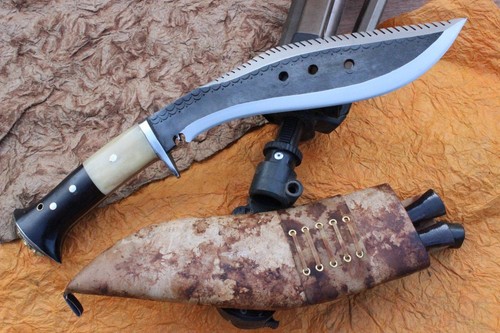 Dragon survival rust free - dragon,