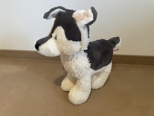 Nici Hund Husky Swante ca. 25