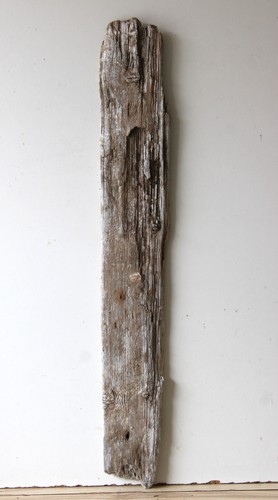 Treibholz schwemmholz - treibholz,