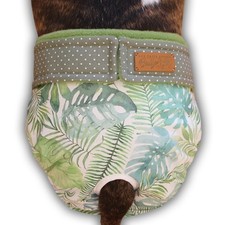 Läufigkeitshose Hund nach