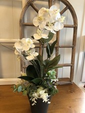 Orchidee Orchideengesteck real