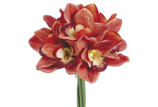 Real touch cymbidium - touch,