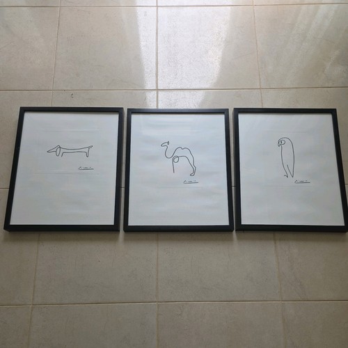 Picasso one line stil - im, one-line