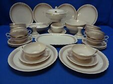 Hutschenreuther Drache-Modell Exklusiv Rose  Speiseservice 6 Personen 31 Teile