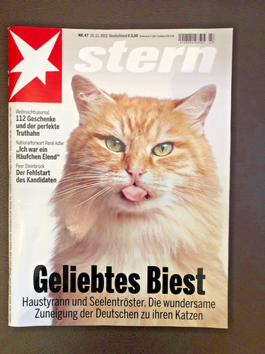 Wie neu stern magazin - stern,