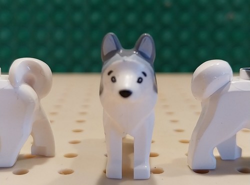 Neu lego city husky - —, ●