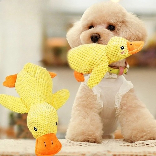 Anti stress ente hund - anti,