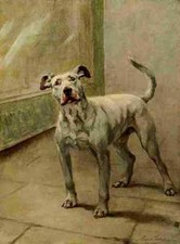 A4 Foto Graf Maud 1864 1943