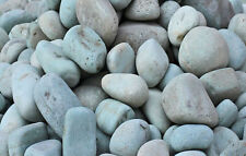 Seltene Türkis-Grüne Kieselsteine 6-11 cm – Deko Ziersteine für Haus & Garten