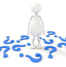 Funkie White Feather - Hosta cultorum