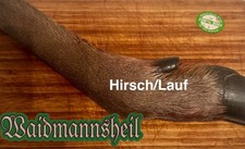 Rotwild/Lauf 1 Stück ca.800g