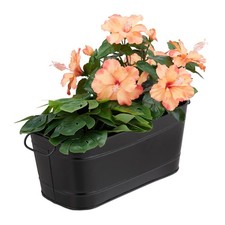 Blumenkasten