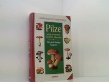 Pilze richtig bestimmen