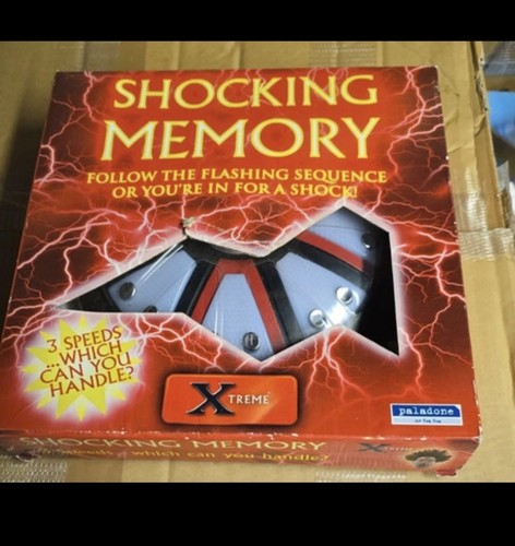 Shocking memory paladone - shocking,
