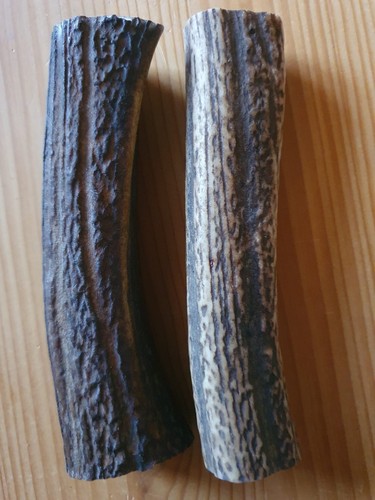 Geweihteile geweihrollen - geweihteile,