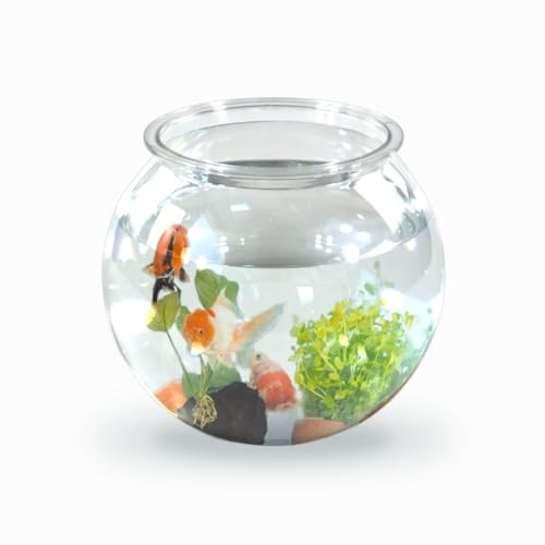 Mobiclinic pets - mobiclinic®,