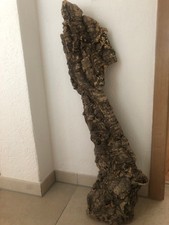 Korkrinde Rinde für Terrarium 97 x 25 cm