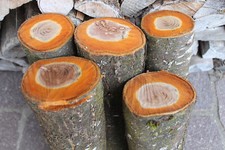 5 x Pflaumenholz  #38 -40 cm lang # Zwetschgenholz Kirscholz Holzstamm Pflaume