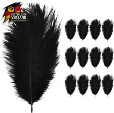 Straußenfedern 8-10 Zoll Natürliche Basteln Traumfänger Dekoration Hochzeit Part