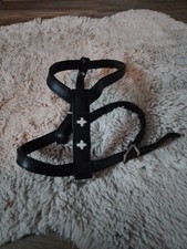 Swiss Premium Y-Geschirr  Gr. M z.b Beagle 