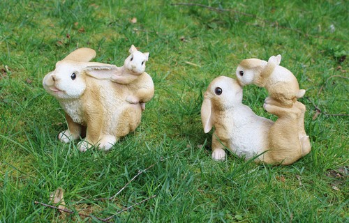 Hase mutter mit kind - mit, +