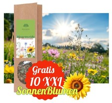Natur Bienenweide 300g Blumen Wiese für 40qm Garten 18 Wildblumen???+ XXL ?