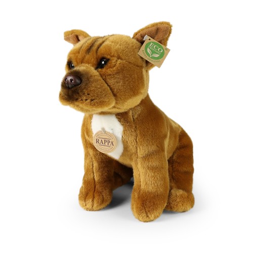 Staffordshire bullterrier hund - bullterrier,