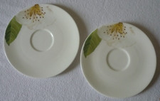2x Dibbern Fine Bone China Pure Untertasse