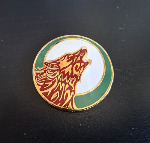 Geocaching geocoin gross - geocoin,