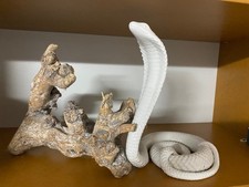 Schlange Klapperschlange Kobra mit dekorativem Ast