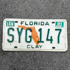 Original US Auto Kennzeichen Nummernschild USA 🇺🇸 Florida Clay