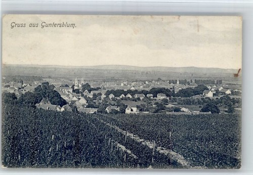 Guntersblum - ,