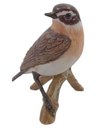 Goebel braunkehlchen vogel des - vogel,
