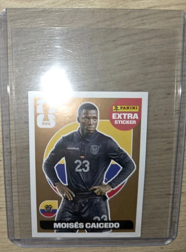 Panini 2006 extra - panini, sticker