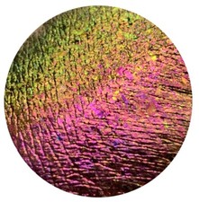 Tala Pigments Lidschatten