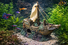 Marina Ornament gesunkenes