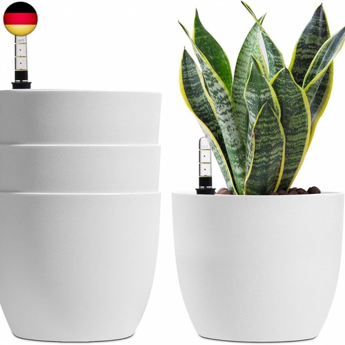T4u self watering flower - flower, pot