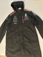 Mercedes-Benz AMG Petronas F1