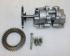 APRILIA TUONO V4 1000 1100