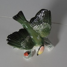 Goldhähnchen mit Marienkäfer