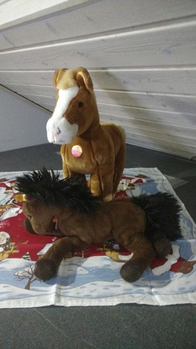 Original steiff fohlen - ",