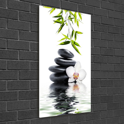 Wandbild druck auf - wandbild,