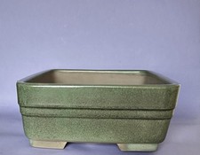 Kiefer Bonsai Schale , Tokoname , 31 cm x 23 cm x 10cm,