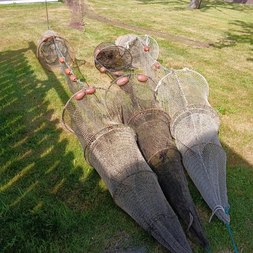Doppel aalreusen - 3,