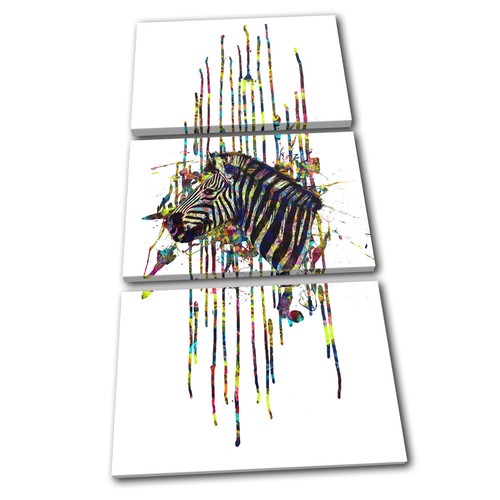 Zebra colourful paint abstract - zebra,