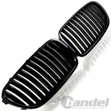 KÜHLERGRILL SPORT NIEREN