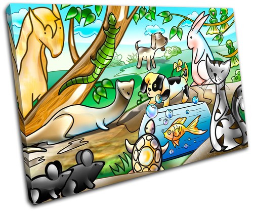 Animals pets for - kids, room